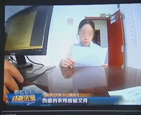 膽大妄為！青藏高原農副產品集散中心竟有人偽造農藥殘留檢驗文件